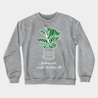 Feeling Cute Might Die Later IDK Cute Houseplant Monstera Crewneck Sweatshirt